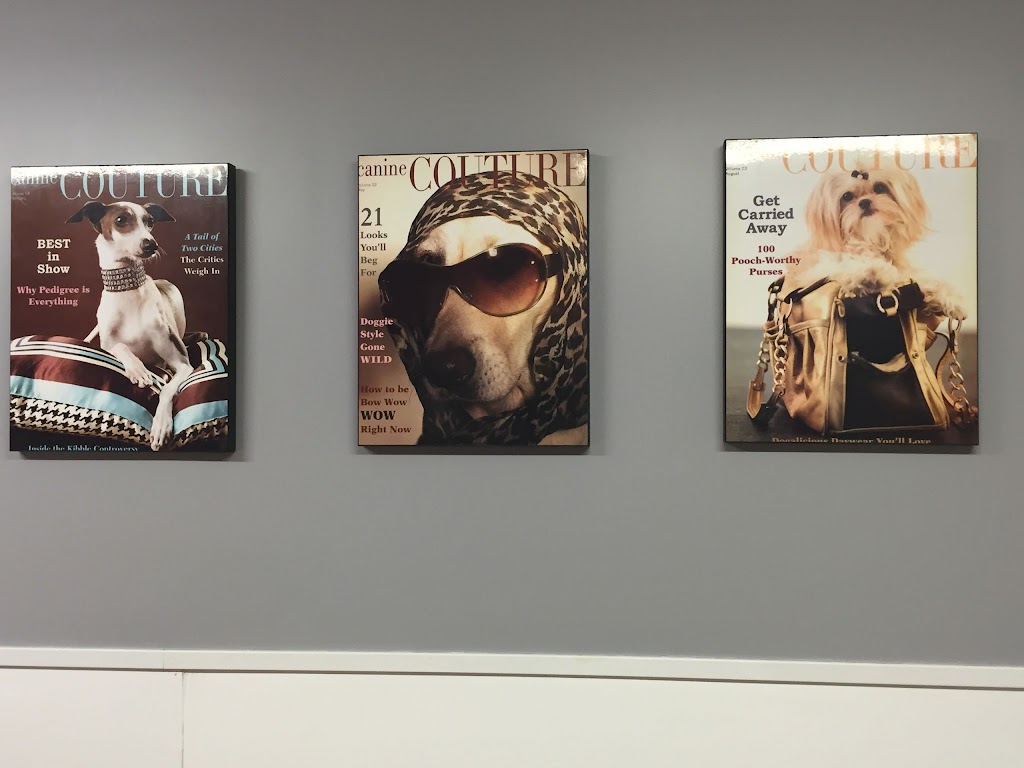 Ruff Cuts Pet Grooming by Lisa - Listowel | 5987 David St, Listowel, ON N4W 0C5, Canada | Phone: (519) 418-3647