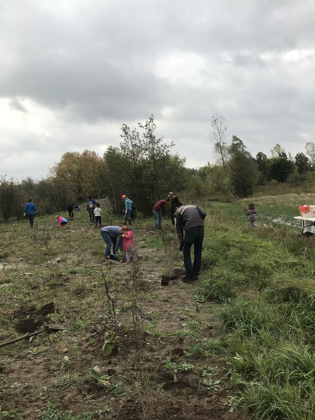 Courtcliffe Park | 159 Carlisle Rd, Carlisle, ON L0R 1H0, Canada