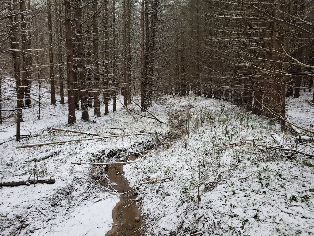 Dingman Conservation Park | 3370 Homewood Ln, London, ON N6P 1K2, Canada