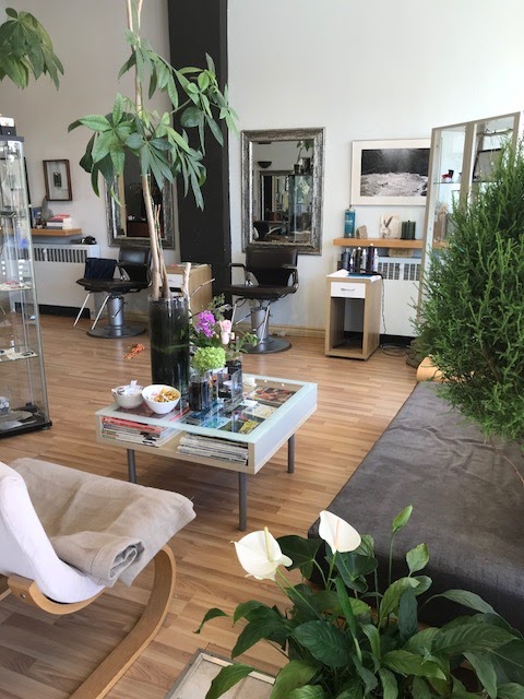 Euphoria Hair Salon &… | 2307 Lakeshore Rd W, Oakville, ON L6L 1H2, Canada | Phone: (905) 827-0650