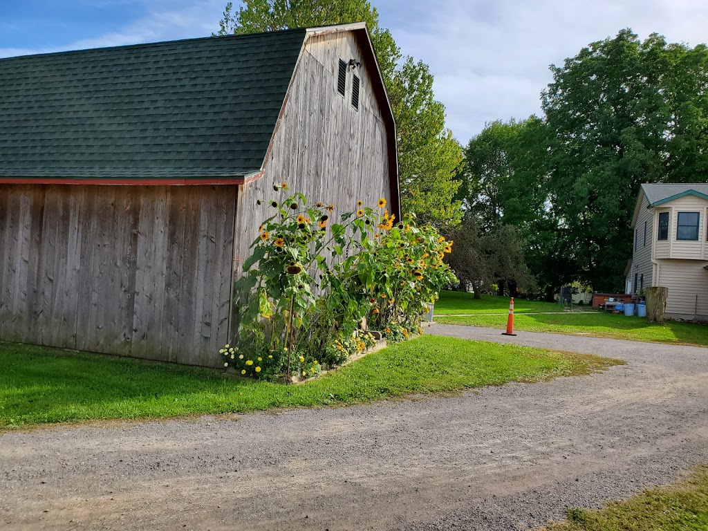 Thistle Creek Alpaca Farm | 1091 Ostrander Rd, East Aurora, NY 14052, USA | Phone: (716) 725-8238