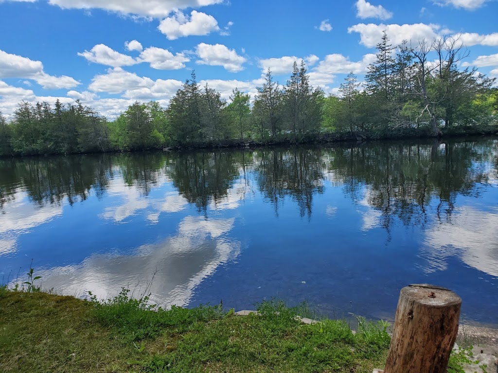 The Cedars Waterview Campground Inc. | 359 Frankford Stirling Rd, Quinte West, ON K0K 2C0, Canada | Phone: (613) 438-4417