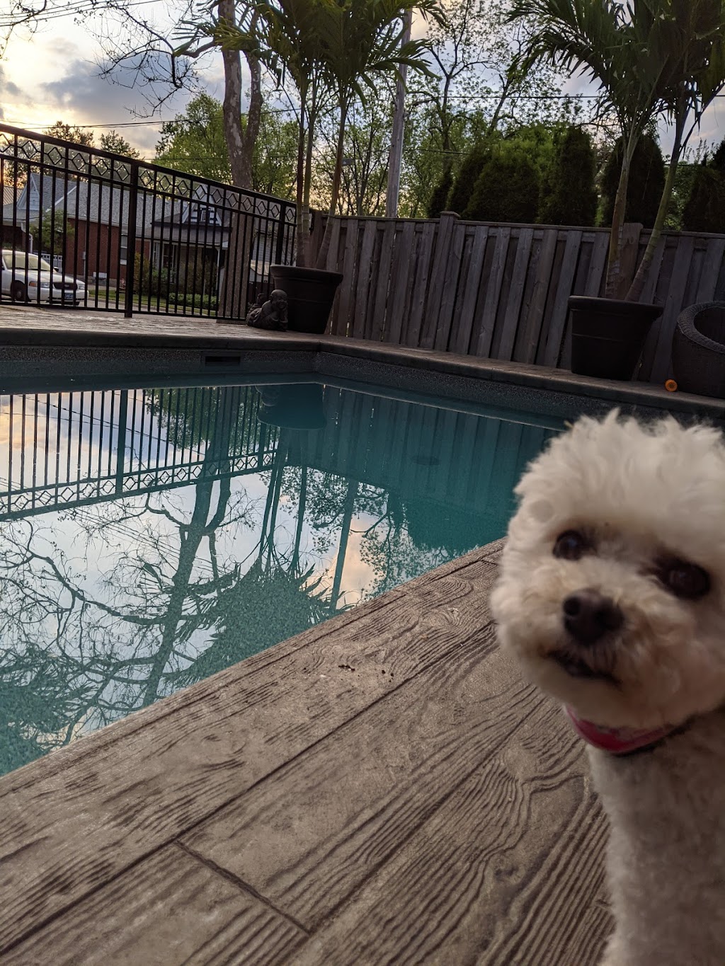 Staycation Pools Inc. | 113 Cathcart St, London, ON N6C 3M2, Canada | Phone: (519) 619-3194
