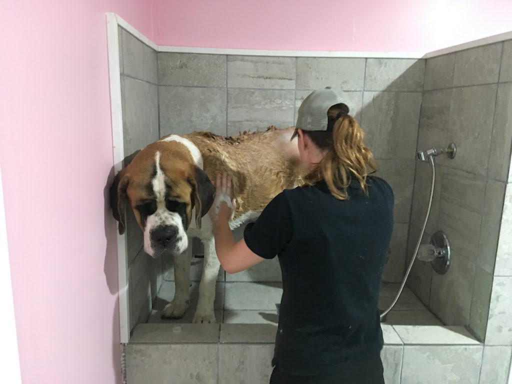 Goode Fur-Baby Salon & Spa | 173 Victoria St, Ingersoll, ON N5C 2N2, Canada | Phone: (519) 240-4038