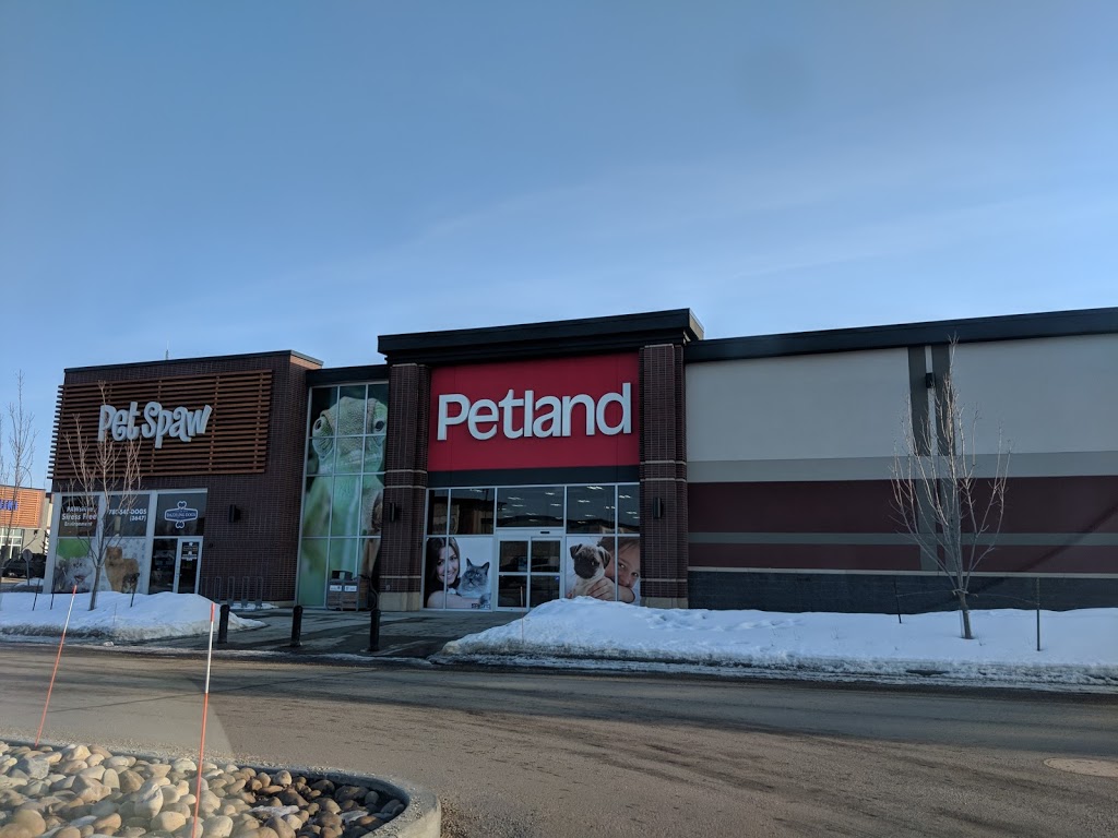 Petland | South Park 556, 3803 Calgary Trail NW, Edmonton, AB T6J 5M8, Canada | Phone: (780) 436-7387