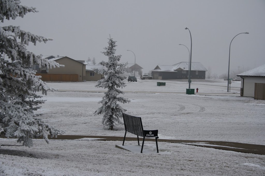 Village Of Duchess | 103 2 St E, Duchess, AB T0J 0Z0, Canada | Phone: (403) 378-4452