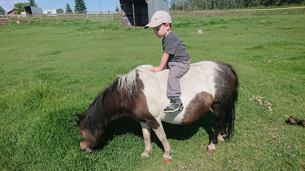 Legends Ranch | Kneehill County, AB T0M 2B0, Canada | Phone: (403) 507-0436