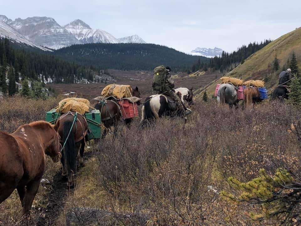 Carter Outfitting LTD | 53508 Range Rd 45, Darwell, AB T0E 0L0, Canada | Phone: (780) 977-8188