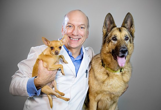CLINIQUE VÉTÉRINAIRE LACHAPELLE | 143 Rue Jean Juneau, Saint-Augustin-de-Desmaures, QC G3A 2W1, Canada | Phone: (418) 878-0880