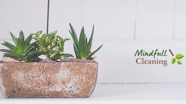 Mindfull Cleaning | 103 Elgin Dr SE, Calgary, AB T2Z 4H1, Canada | Phone: (403) 592-0344