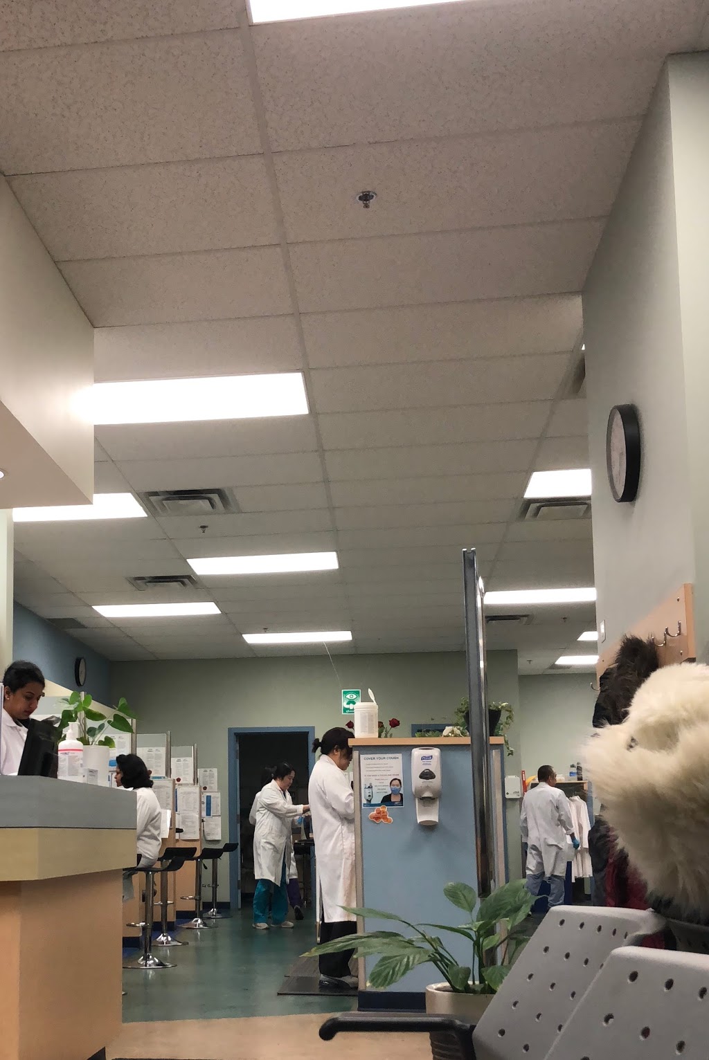 DynaLIFE Medical Labs | Millbourne Shopping Centre Location 140, 7629-38 Ave &, Mill Woods Rd NW, Edmonton, AB T6K 3L6, Canada | Phone: (780) 462-8349