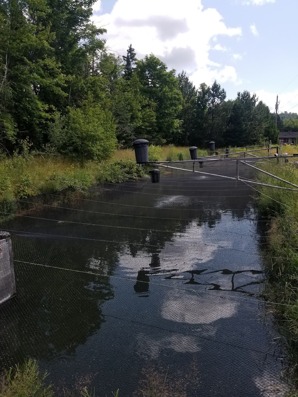 Plc | 1151 principale, St-faustin lac carre, QC J0T 1J3, Canada | Phone: (819) 688-2030
