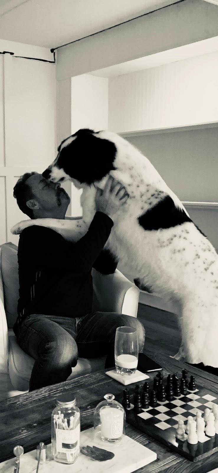 Sticks & Bones Dog Grooming | 3498 Dunlin St, Victoria, BC V9C 0N2, Canada | Phone: (250) 818-5037