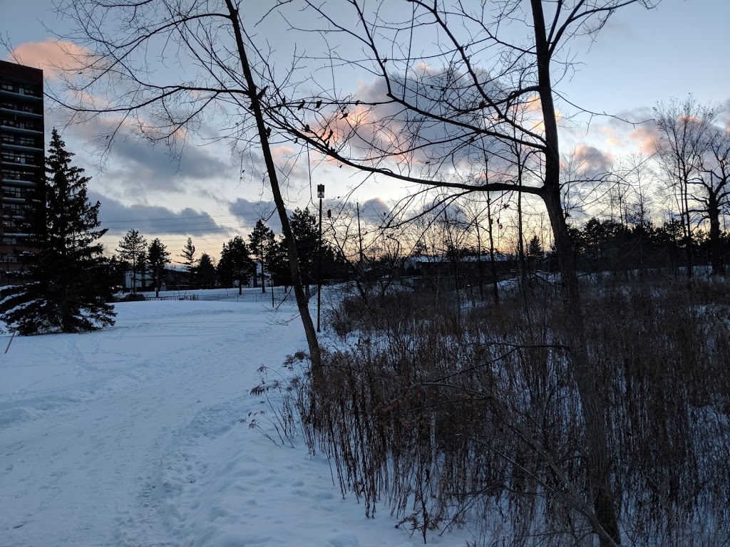 South Common Park | 3501 Glen Erin Dr, Mississauga, ON L5L 2E9, Canada | Phone: (905) 615-4311