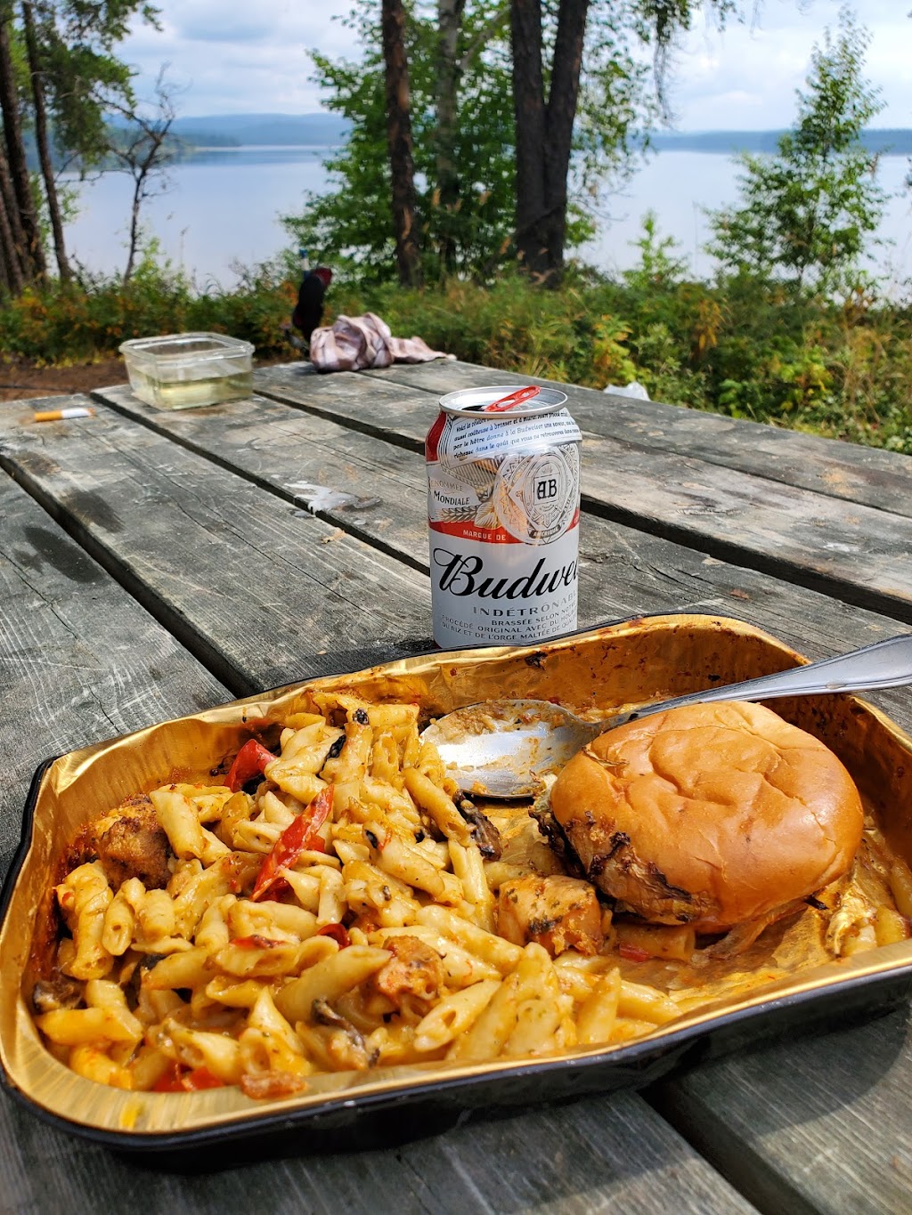 Camping Lac Chigoubiche - Réserve faunique Ashuapmushuan | Kilomètre 113, sur la, QC-167, Le Domaine-du-Roy, QC G0W 1P0, Canada | Phone: (418) 256-3806