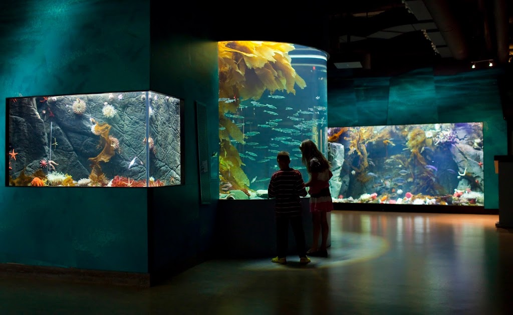 Shaw Centre for the Salish Sea | aquarium | 9811 Seaport Pl, Sidney, BC V8L 4X3, Canada | 2506657511 OR +1 250-665-7511