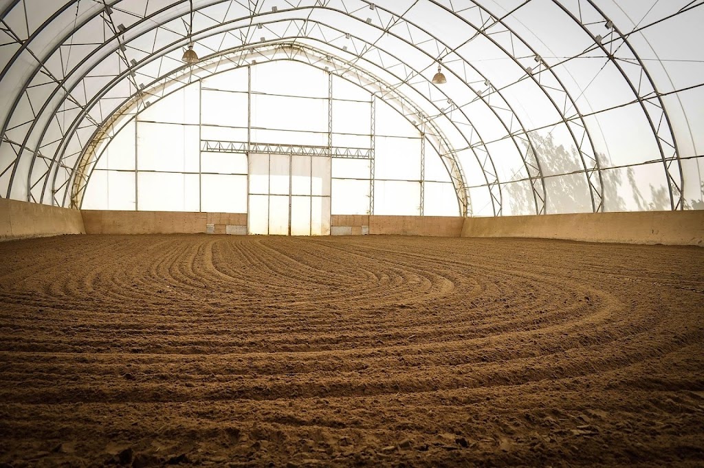 Écurie Andréane Stables | Chem. Dustin, Stanstead-Est, QC J0B 1C0, Canada | Phone: (819) 349-6912