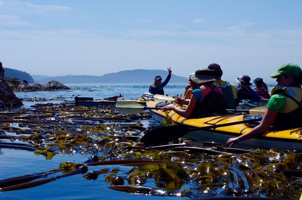Moondance Sea Kayak Adventures | 909 Squalicum Way #122, Bellingham, WA 98225, USA | Phone: (360) 738-7664