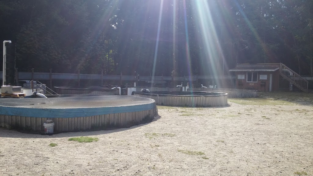 Sunshine Coast Salmonid Enhancement Society | 4381 Parkway Dr, Sechelt, BC V0N 3A1, Canada | Phone: (604) 885-4136