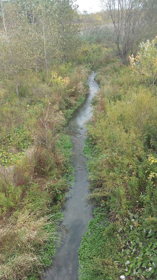 Taquanyah Conservation Area | 429 Decewsville Rd, Cayuga, ON N0A 1E0, Canada | Phone: (905) 768-3288
