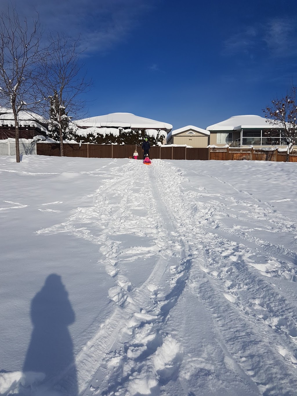 Loseth Park | 1535 Loseth Dr, Kelowna, BC V1P 1N8, Canada | Phone: (250) 717-2757