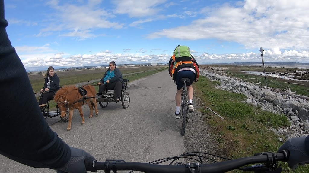 Pony Pals Therapeutic Riding Assn | 3885 96 St, Delta, BC V4K 3N3, Canada | Phone: (604) 590-0097