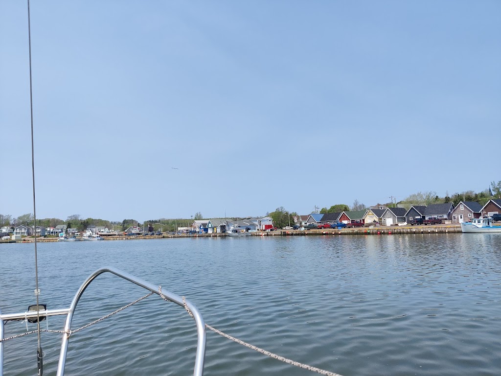 Atlantic Sailing PEI | Harbourview Dr, North Rustico, PE C0A 1X0, Canada | Phone: (902) 200-1375