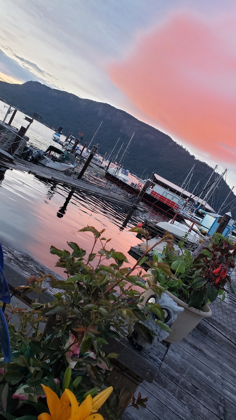 The Bluenose Marina | 1765 Cowichan Bay Rd, Cowichan Bay, BC V0R 1N1, Canada | Phone: (250) 748-2222