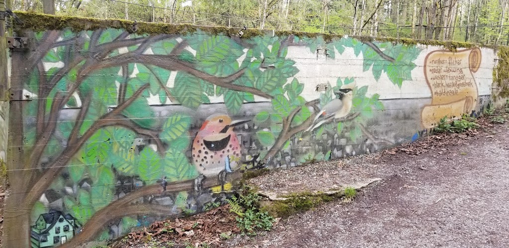 Arboretum Forest | Douglas Fir Trail, Bellingham, WA 98225, USA | Phone: (360) 778-7000