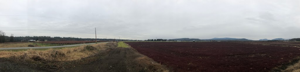 Glen Valley Artichoke Farms | 28182 Marsh McCormick Road, Abbotsford, BC V4X 2G9, Canada | Phone: (604) 857-0321