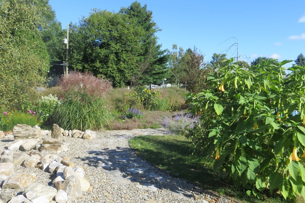 Centre De Yoga Terre Et Ciel | 98 3e Avenue Ouest, Saint-Paul, QC J0K 3E0, Canada | Phone: (450) 754-3670