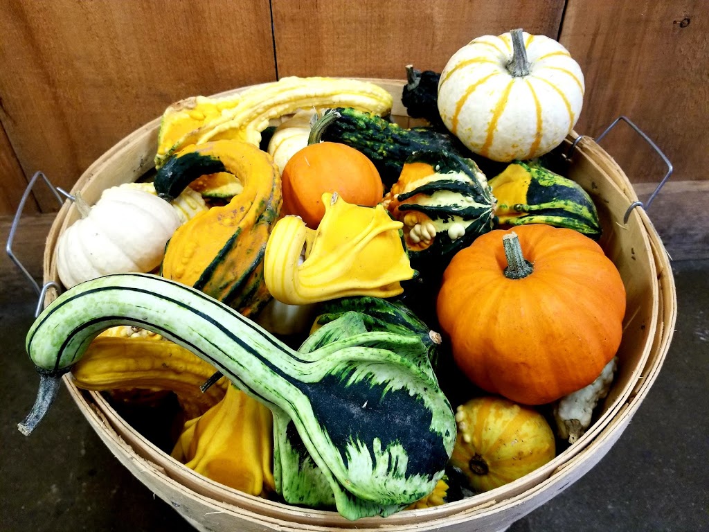 Lincoln Line Orchards | 9764 RR 20, Smithville, ON L0R 2A0, Canada | Phone: (905) 643-2205
