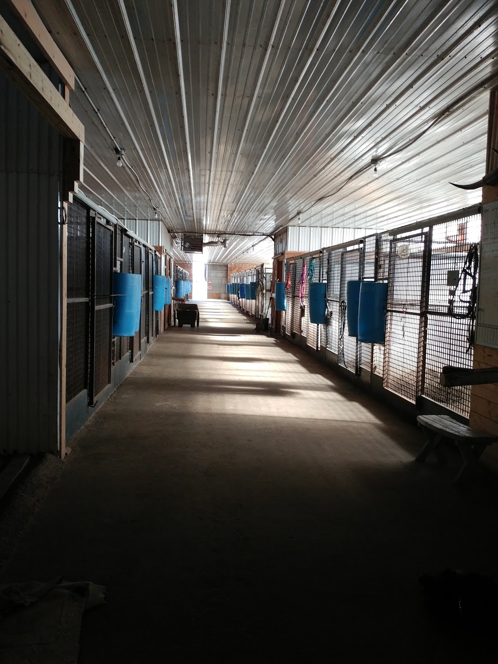 Ridequine | Edenwold No. 158, SK S0G 5K0, Canada | Phone: (306) 781-1962