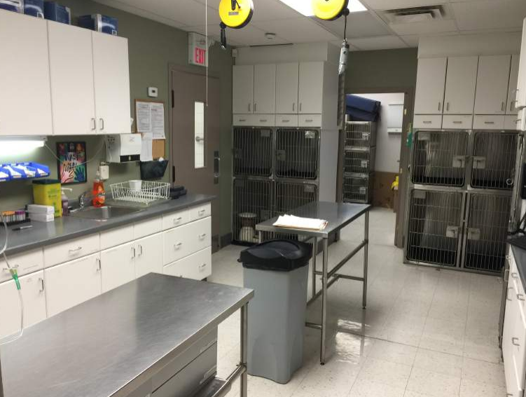 FAIRVIEW DRIVE PET HOSPITAL | 403 Fairview Dr Unit 7, Brantford, ON N3R 6T2, Canada | Phone: (519) 753-7257