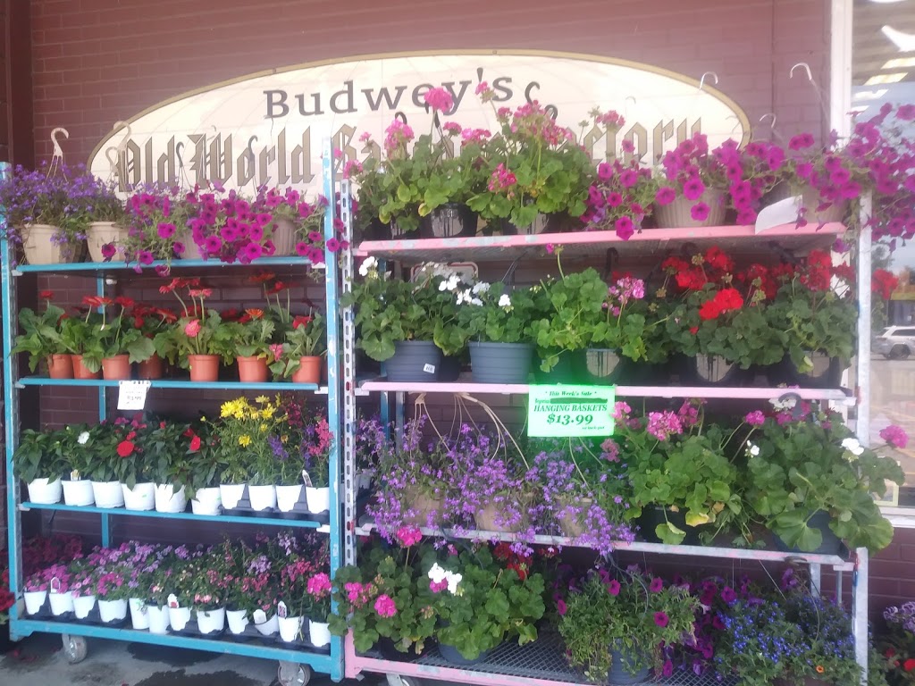 Budwey Plaza | 531 Division St, North Tonawanda, NY 14120, USA | Phone: (716) 693-2802