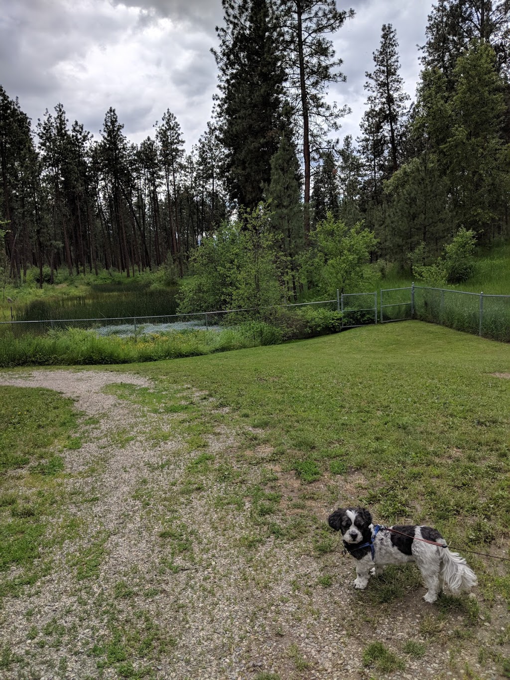 Quail Ridge Linear Park | Kelowna, BC V1V 2S4, Canada | Phone: (250) 717-2757