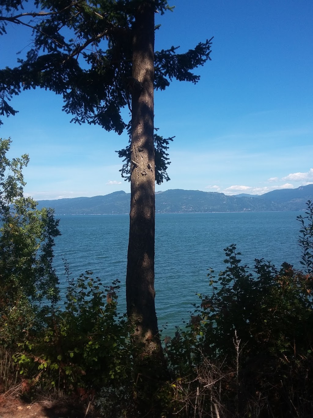 Davis Charles M | 4767 Wharf Rd, Bow, WA 98232, USA | Phone: (360) 766-3223