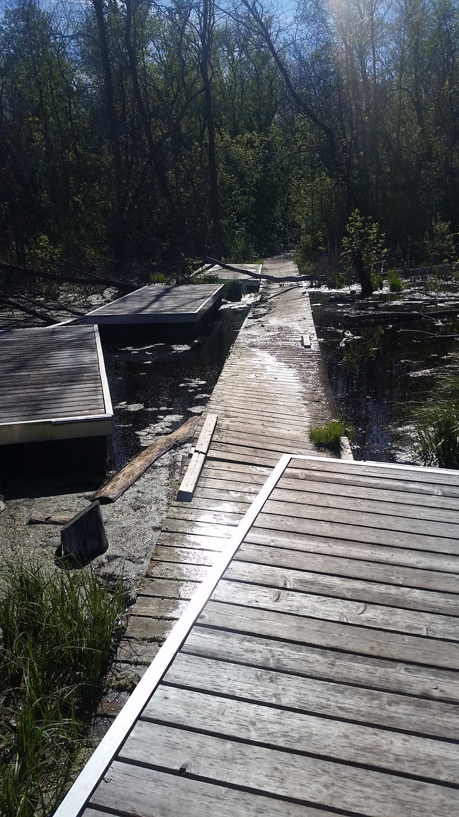 Pike Lake Nature Trail | Vanscoy No. 345, SK S0K 1K0, Canada | Phone: (306) 933-6966