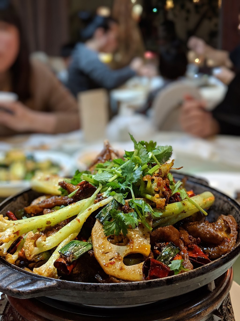 Szechuan Cuisine | 6408 Kingsway, Burnaby, BC V5E 1E1, Canada | Phone: (604) 559-9229