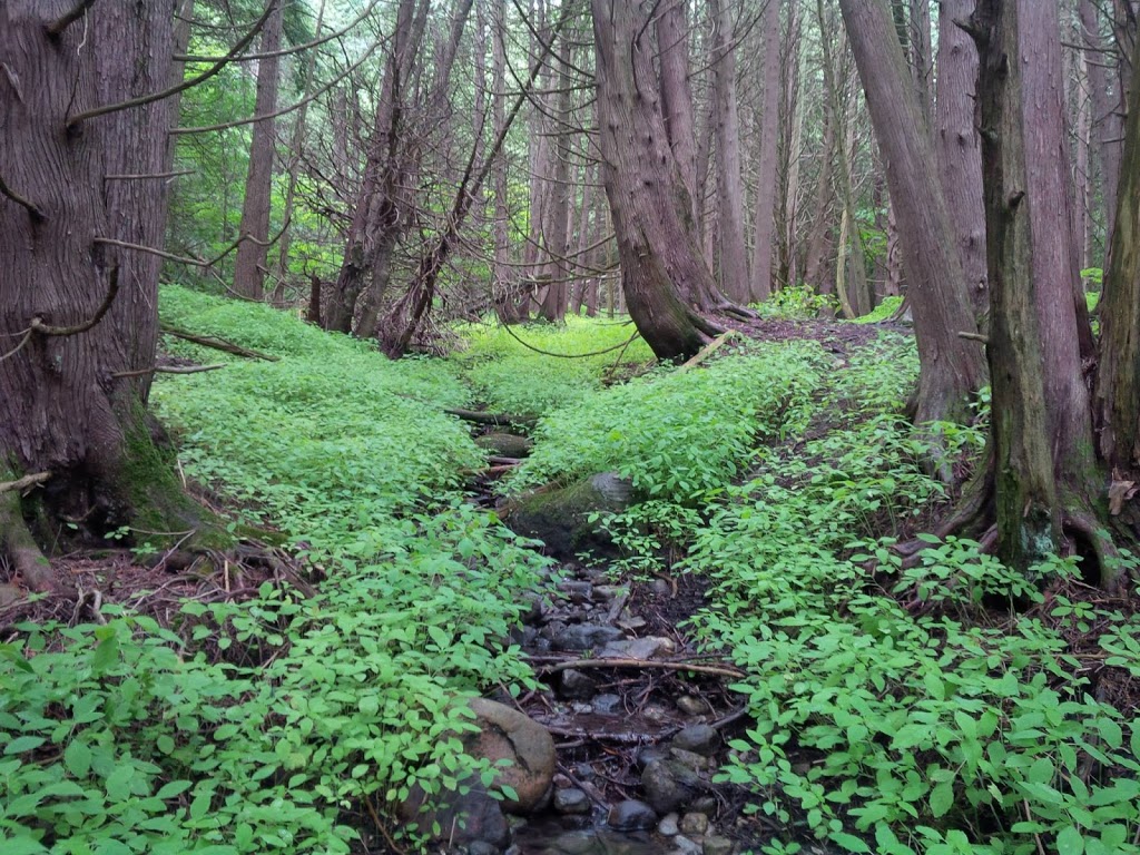 Millbrook Valley Trails | 1 Dufferin St, Millbrook, ON L0A 1G0, Canada | Phone: (705) 932-9329