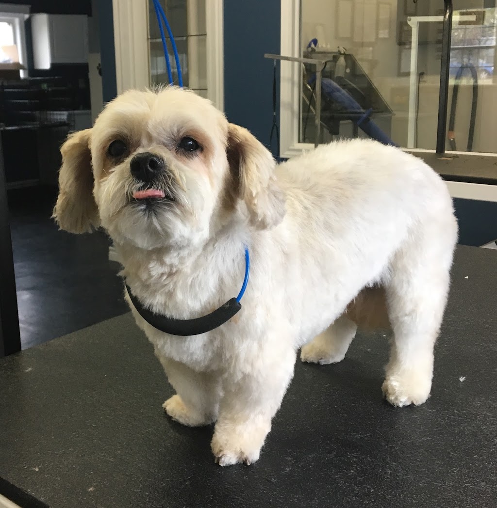 Hair Off The Dog | 22 Shawn Ct, Riverview, NB E1B 3R4, Canada | Phone: (506) 384-3646