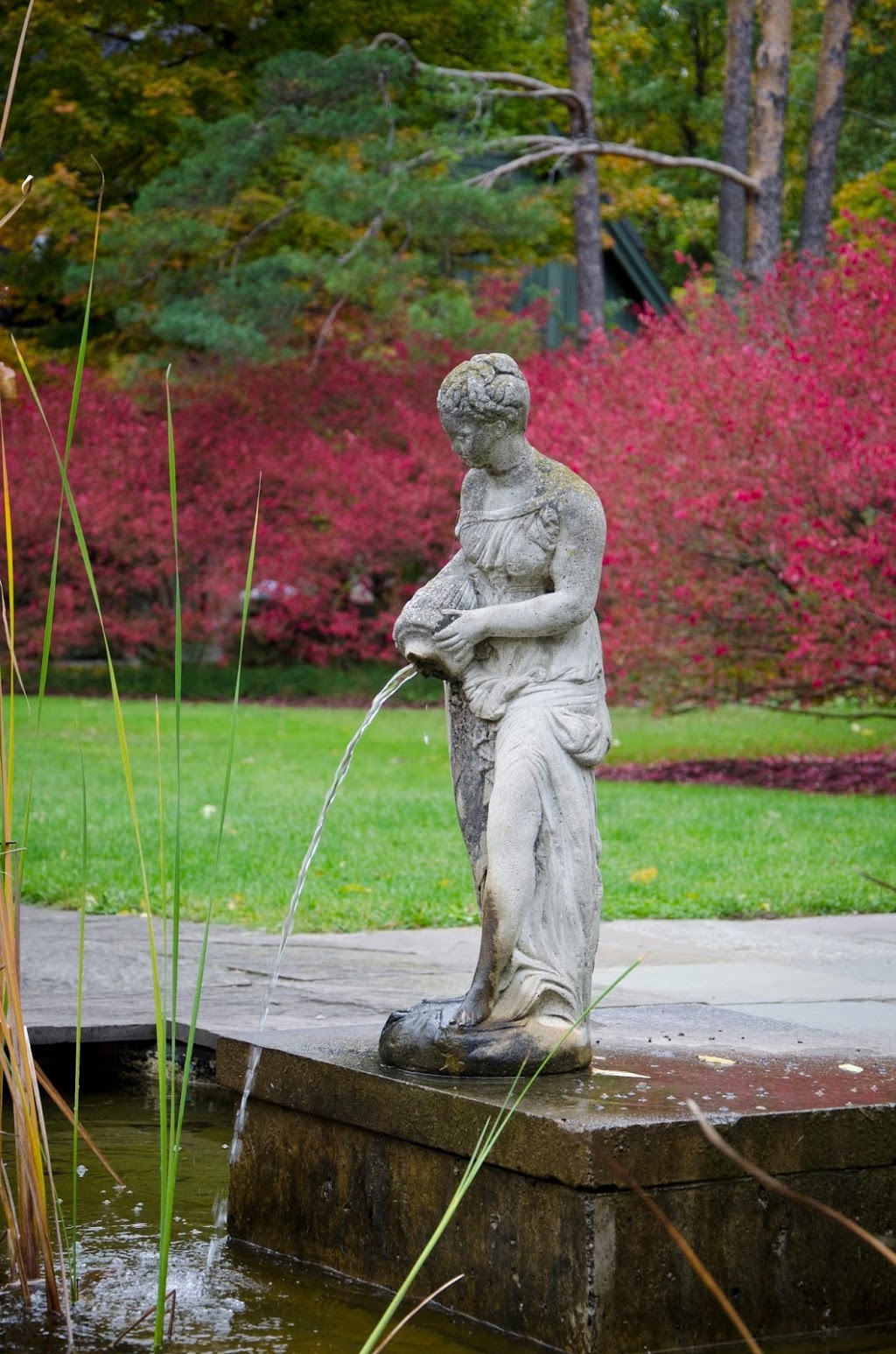 Kim Bowdring Photography | 55 Green Vista Dr, Cambridge, ON N1T 1X7, Canada | Phone: (519) 241-2310