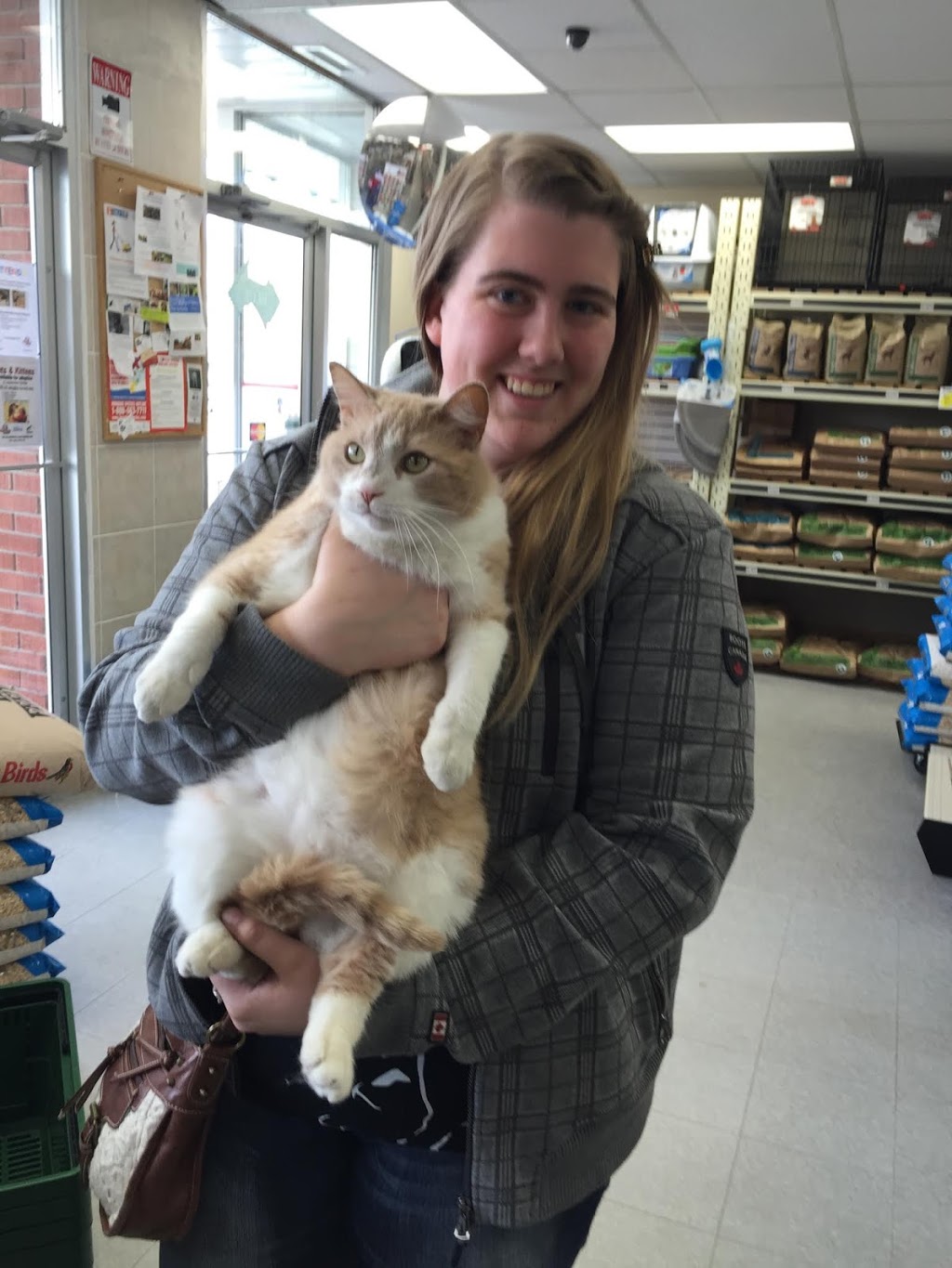 Ruffins Pet Centre Georgetown | 140 Guelph St, Georgetown, ON L7G 4A5, Canada | Phone: (905) 873-0933