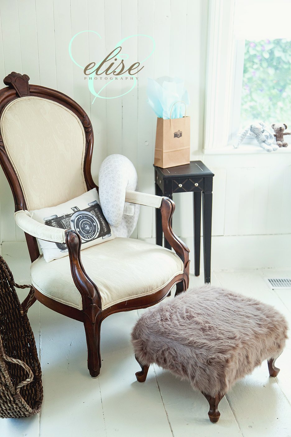 Elises Photography and Delhi Photo & Frame | 64 Dalton Rd, Delhi, ON N4B 2W4, Canada | Phone: (226) 567-5055