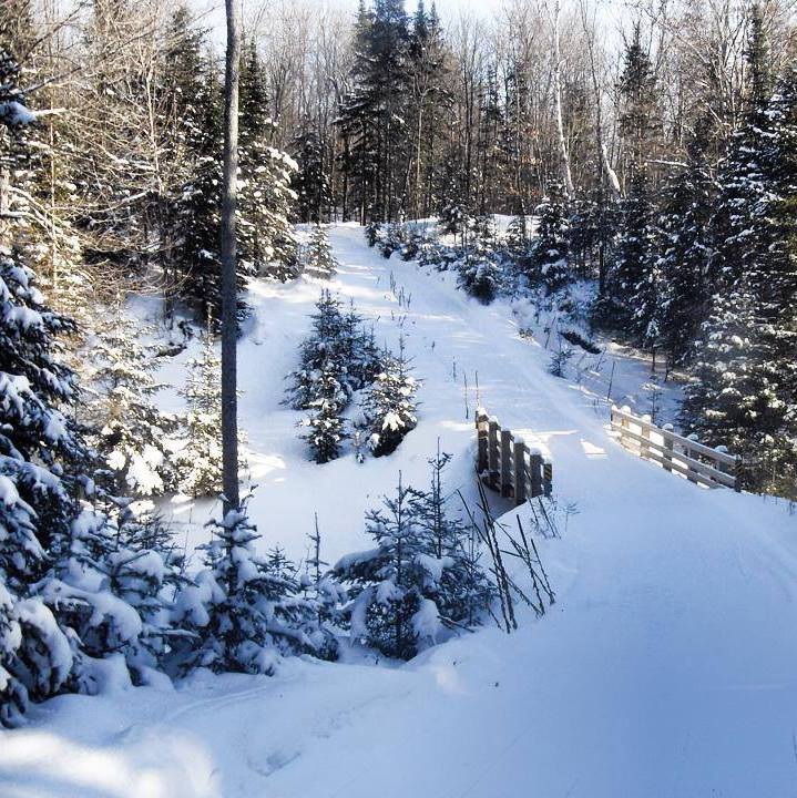 Kawartha Lakes Snowmobile Club | 121 Kawartha Lakes County Rd 8, Fenelon Falls, ON K0M 1N0, Canada | Phone: (705) 887-1288