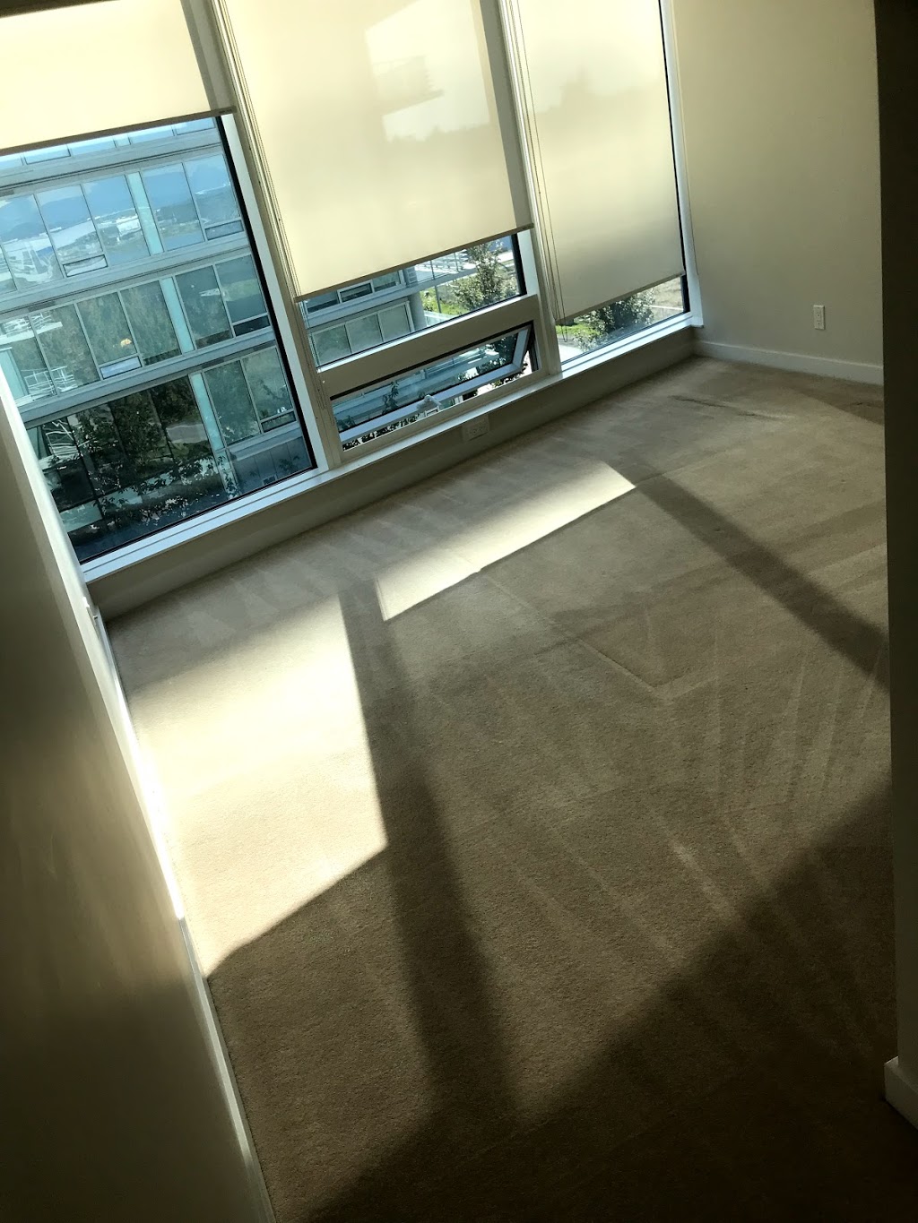 A1 Carpet And upholstery cleaning Surrey,Langley,Delta | 14435 Chartwell Dr, Surrey, BC V3S 5E3, Canada | Phone: (604) 442-6405