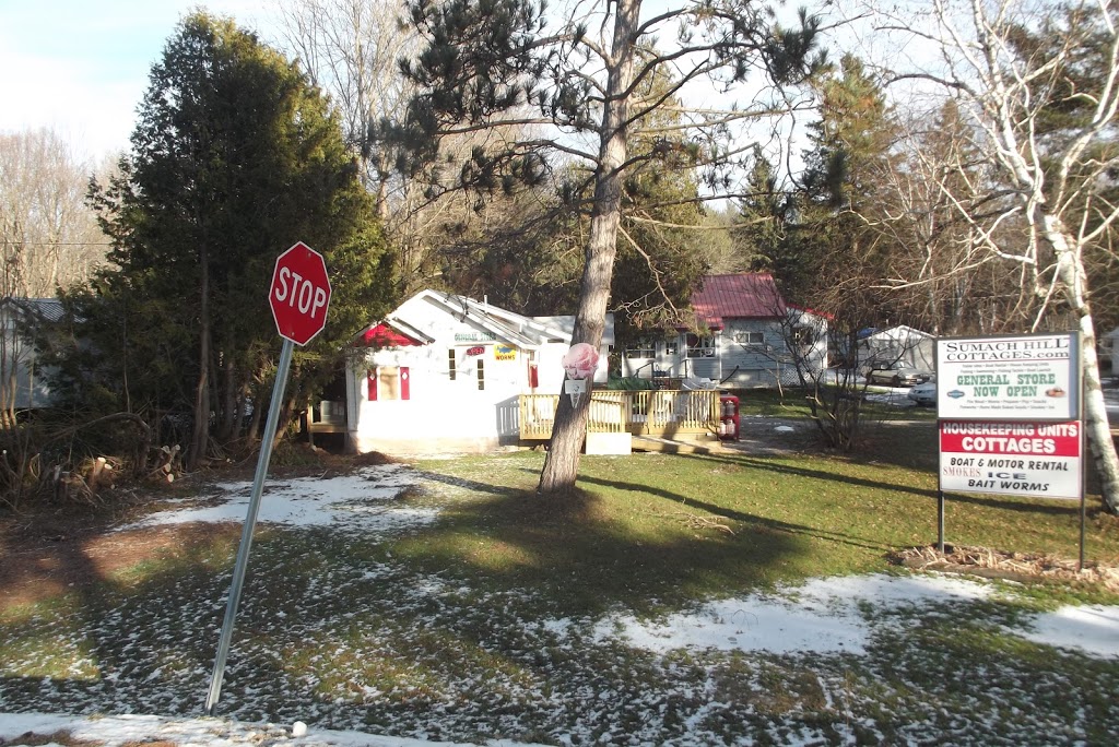 TinMan General Store | 1619 Canning Rd, Severn Bridge, ON P0E 1N0, Canada | Phone: (705) 689-3502