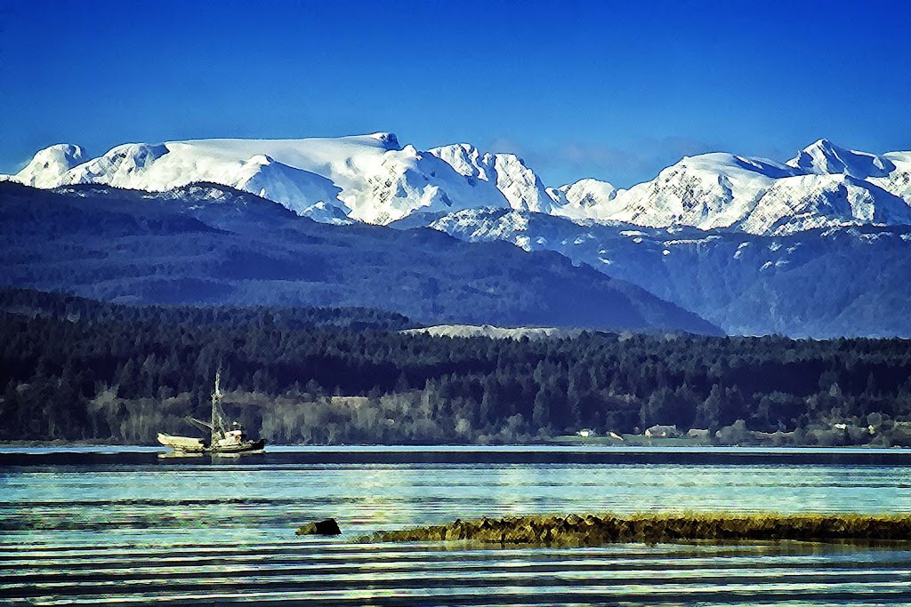 Cool Art by Richard | 2477 6 St E, Courtenay, BC V9N 7T8, Canada | Phone: (250) 338-7688
