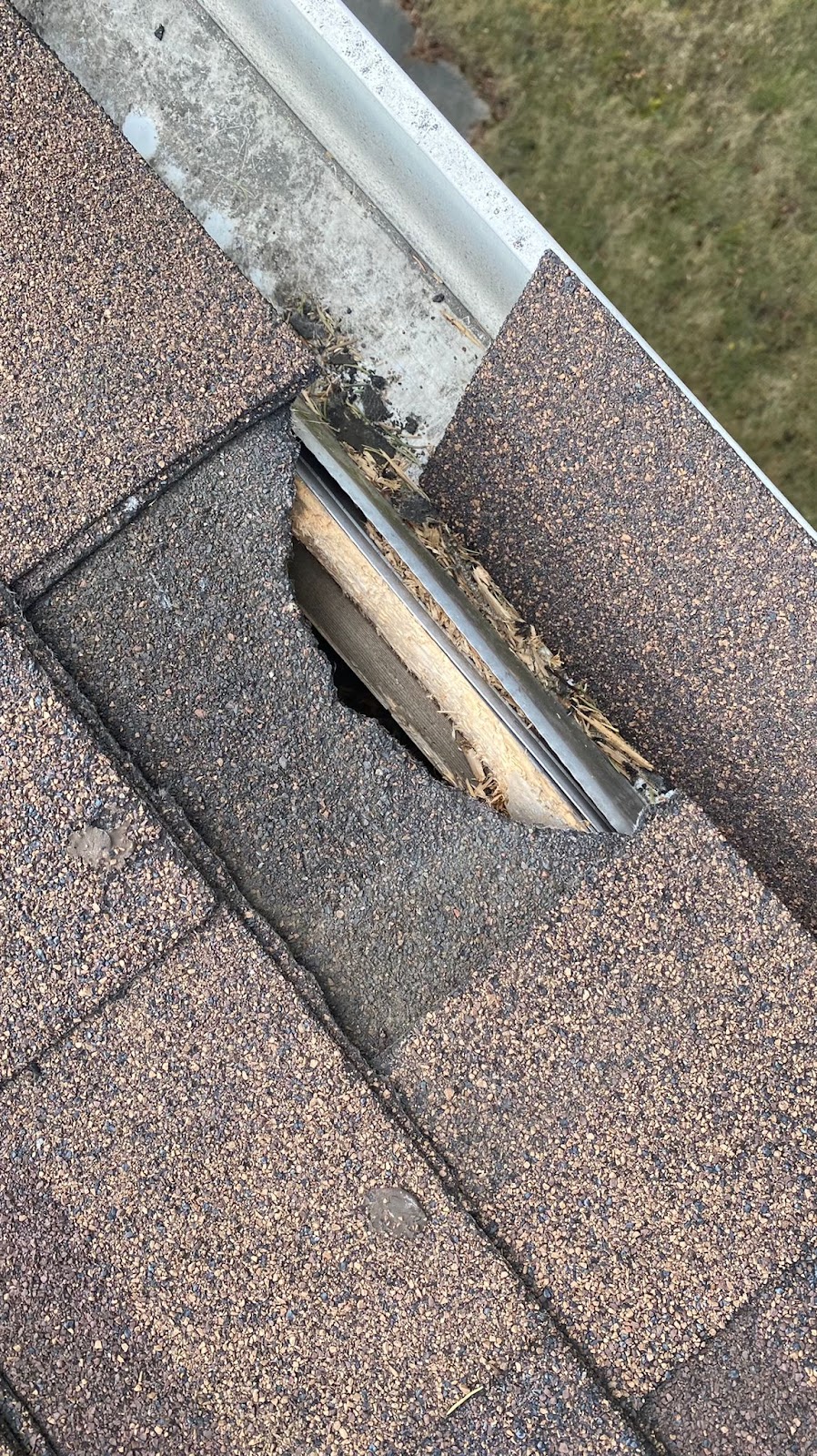 Ultimate Pest Solutions - Brampton | 17 Queen St W #2, Brampton, ON L6Y 1L9, Canada | Phone: (437) 882-4242