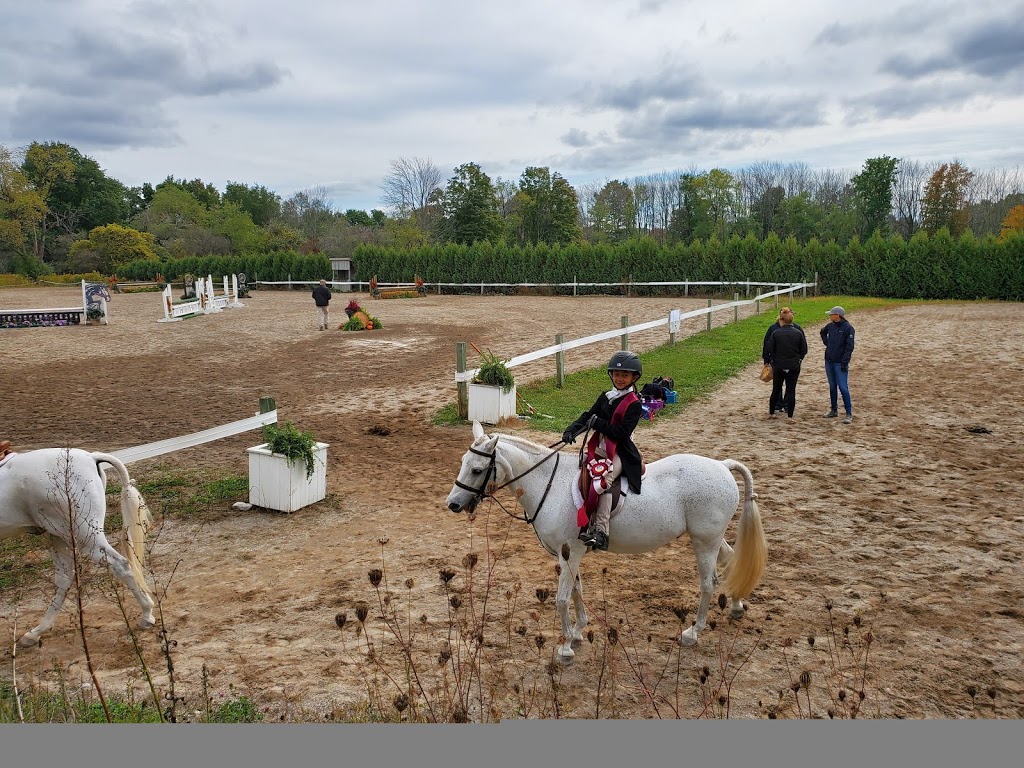 Eden Ridge Equestrian | 684536 Rd 68, Woodstock, ON N4S 7V7, Canada | Phone: (519) 777-2306